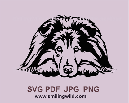 Digital transparent dog clip art drawing of lying sheltie