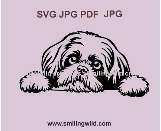 Realistic Shih Tzu dog vector portrait for Cricut, Silhouette, and laser engraving