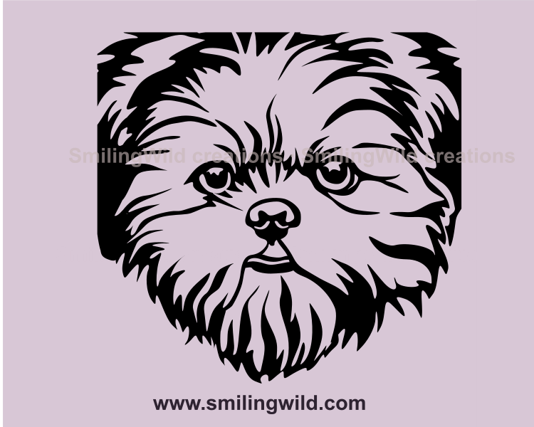 shih tzu face close up design