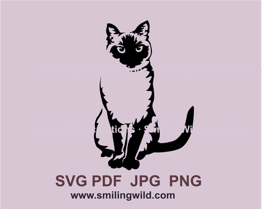 Sitting siamese cat made in vector graphic style