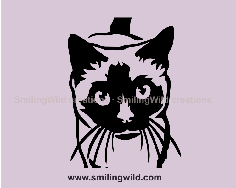 Siamese cat close up design