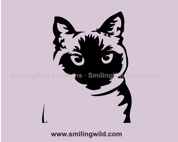 Siamese close up design