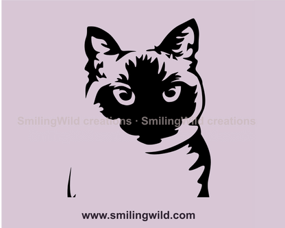 Siamese close up design