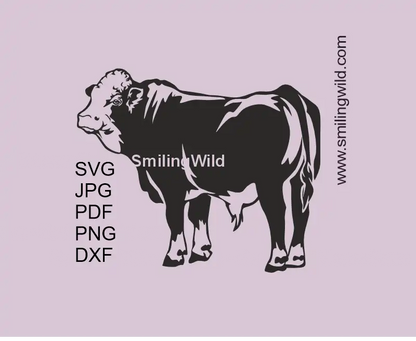 Simmental bull SVG PNG DXF full body cattle vector clipart for Cricut crafts and laser cutting design