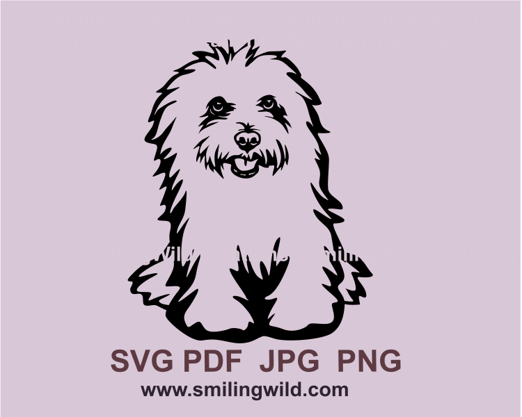 Bolognese dog made in graphic art is sitting, peeking and smiling