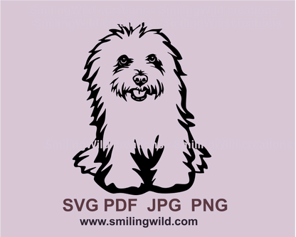 Bolognese dog made in graphic art is sitting, peeking and smiling