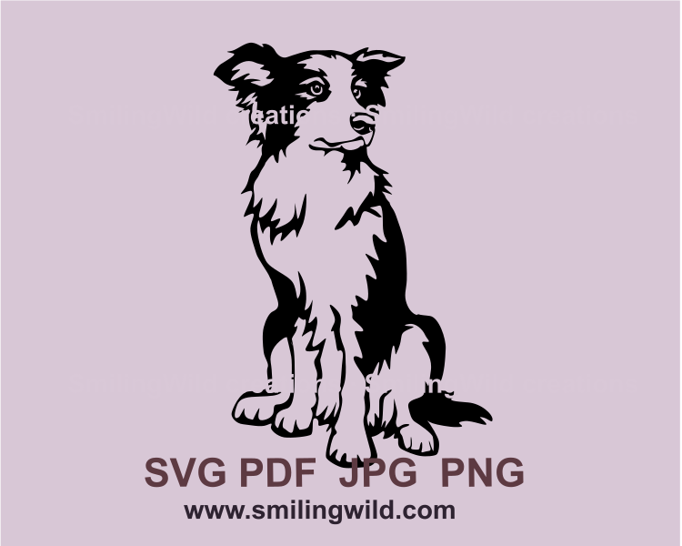 sitting border collie graphic art image in black color