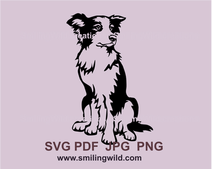 sitting border collie graphic art image in black color