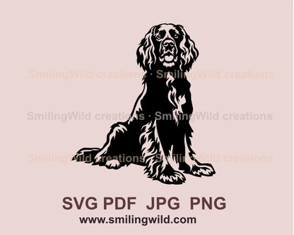 Sitting boykin spaniel digital art in black color