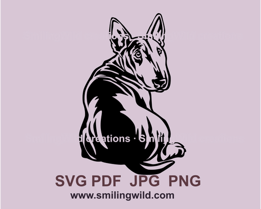 Sitting bull terrier svg graphic portrait