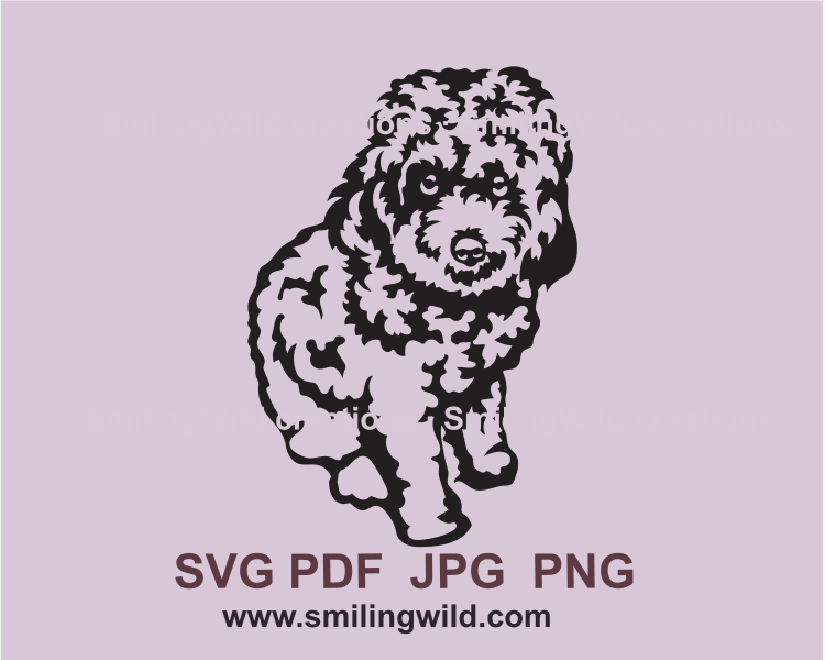 Cavapoo svg clip art