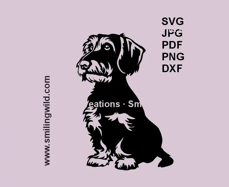 Sitting Wirehaired Dachshund SVG – realistic Dackel clipart for Cricut and Silhouette