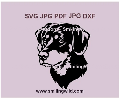 Realistic Smaland Hound SVG digital download – hunting dog face vector for Cricut and laser cutting