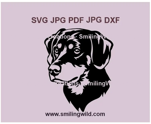 Realistic Smaland Hound SVG digital download – hunting dog face vector for Cricut and laser cutting