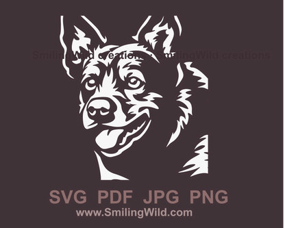 smiling Australian cattle dog face