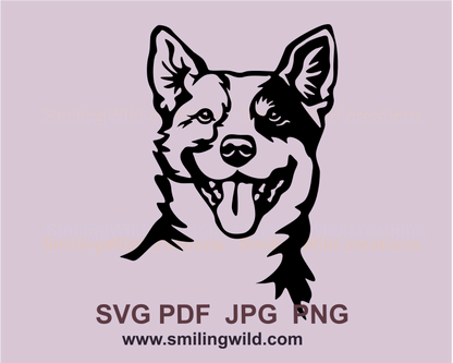 smiling Australian cattle dog graphic drawing