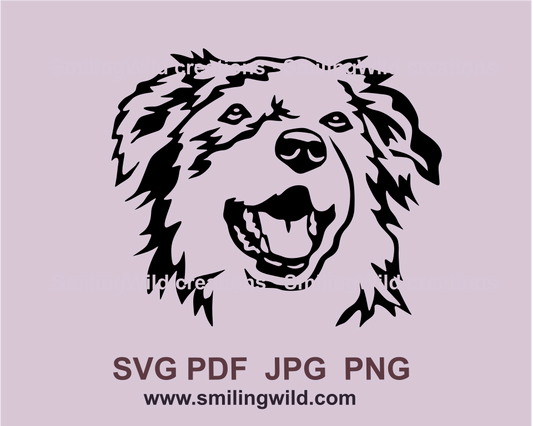 Smiling australian shepherd graphic portrait with transparent background