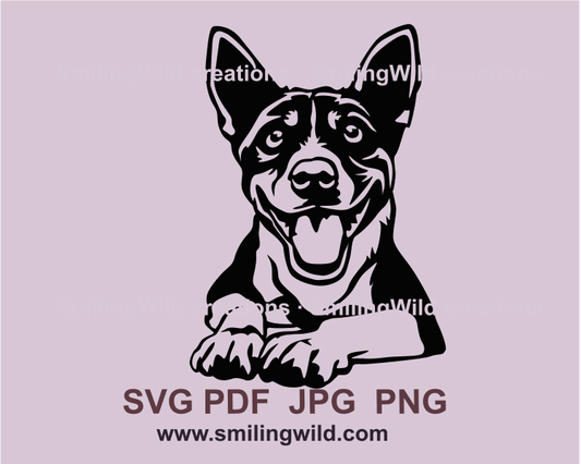 Smilng basenji dog drawing in vector graphic style