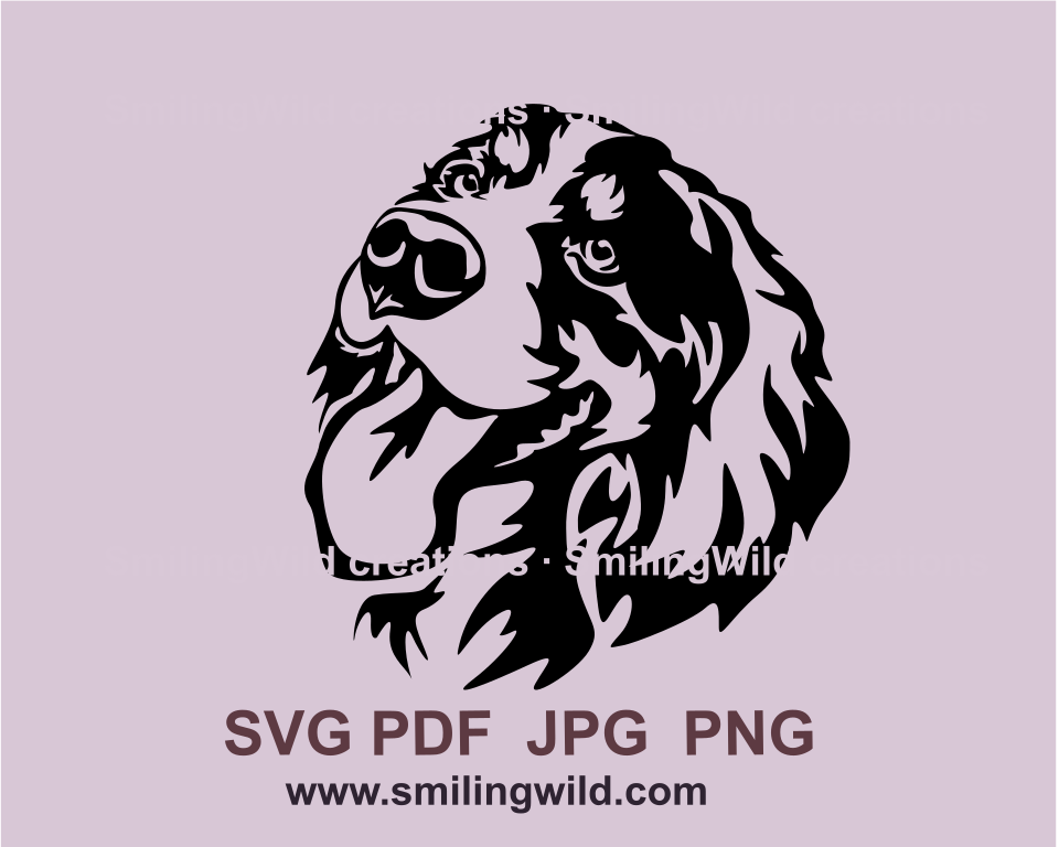 Smiling bernese mountain dog face in a black graphic art image