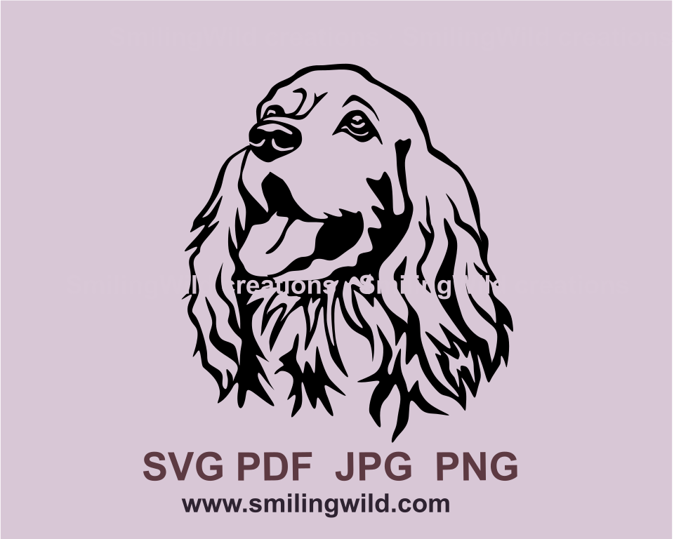 Smiling English cocker spaniel face