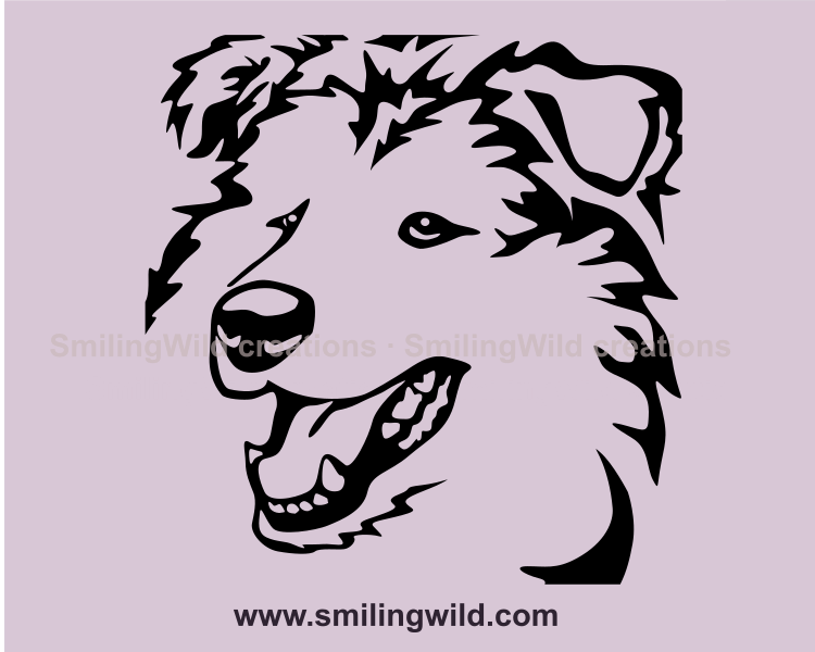 smiling collie design close up image