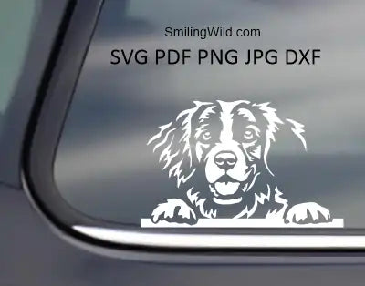 Smiling dog face presenting a peeking Brittany spaniel dxf and png vector graphic image made as a cutting file for dark backgrounds