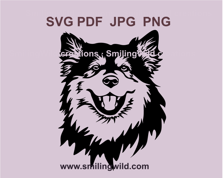 a smiling finnish laphund graphic svg portrait typical for cutting works