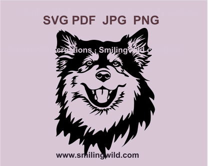 a smiling finnish laphund graphic svg portrait typical for cutting works