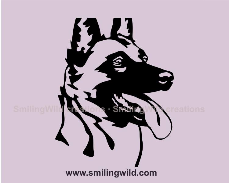 Smling malinois close up portrait