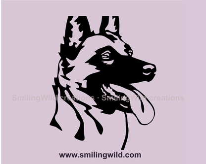 Smling malinois close up portrait