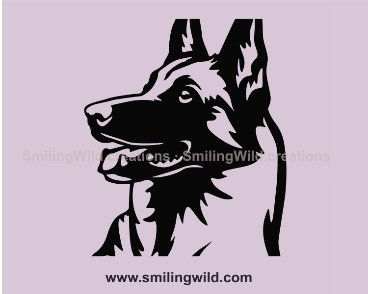 smiling malinois face made in vector art for digital use