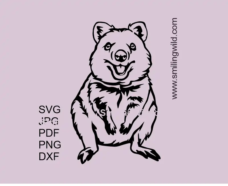 A smiling frontal full body Quokka SVG clipart design preview created for Australian animal collection