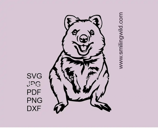 A smiling frontal full body Quokka SVG clipart design preview created for Australian animal collection