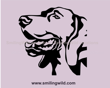 smiling weimaraner close up clip art portrait