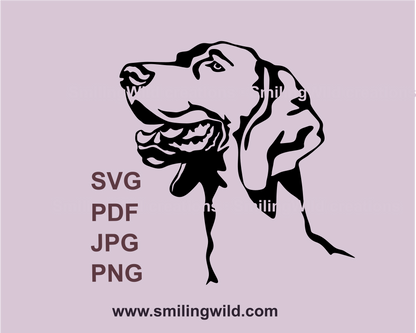 smiling weimaraner cuttable svg image with transparent background