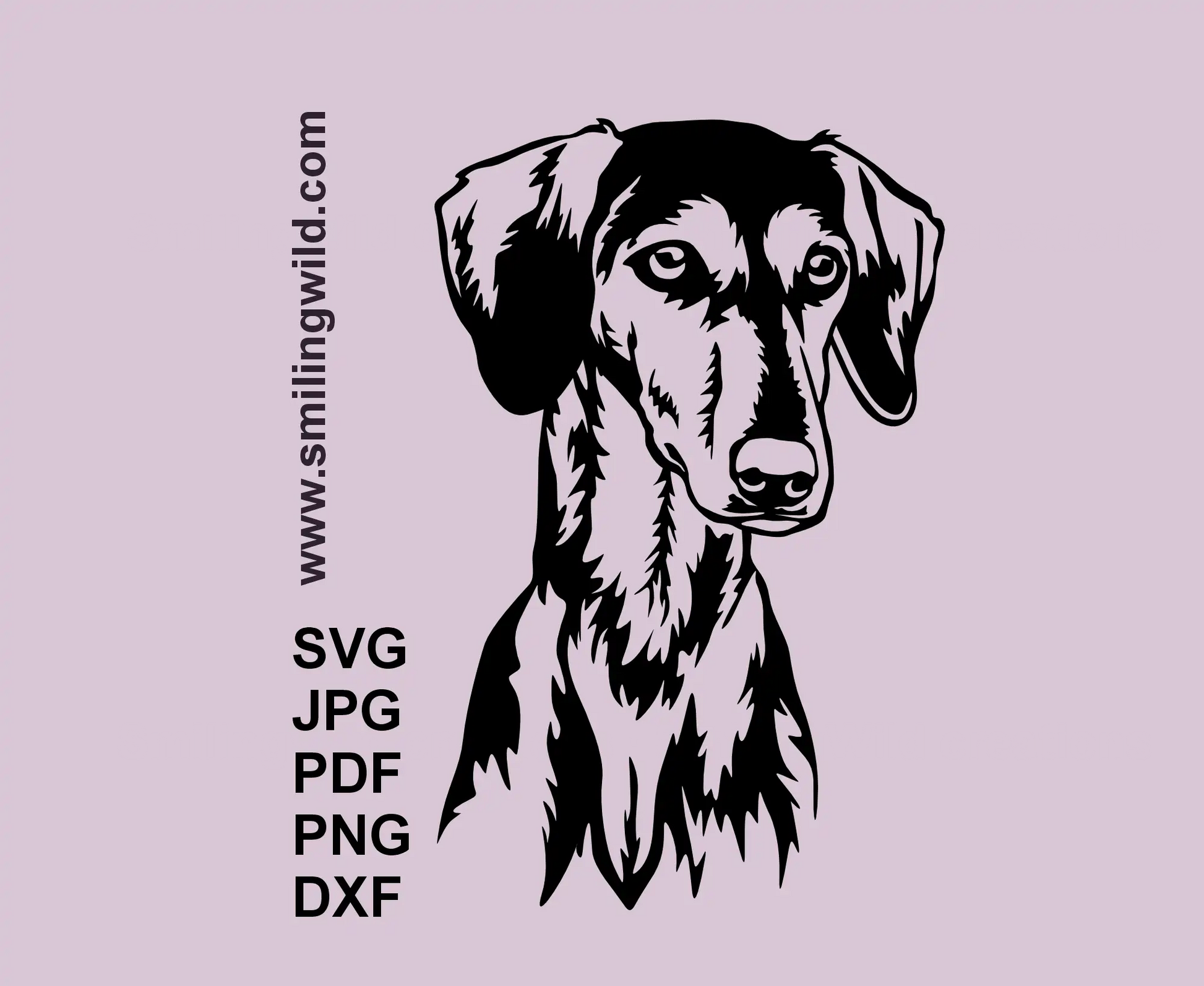 Smooth Saluki face SVG black vector portrait for Cricut, laser engraving, and home décor crafts 