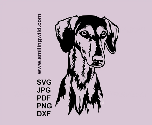 Smooth Saluki face SVG black vector portrait for Cricut, laser engraving, and home décor crafts 