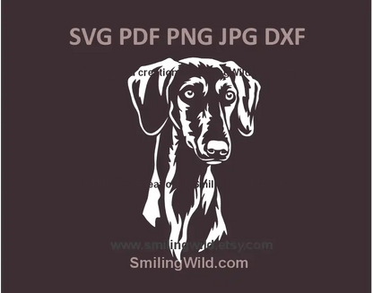 Smooth Saluki white head SVG, png, dxf  clipart for Cricut crafts and laser cut gifts