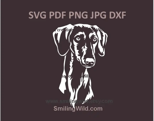 Smooth Saluki white head SVG, png, dxf  clipart for Cricut crafts and laser cut gifts