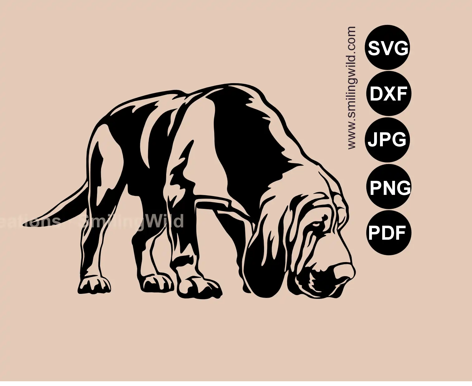 Sniffing Bloodhound SVG png and dxf main design featuring a professional scent tracking dog detailed digital handcrafted drawing