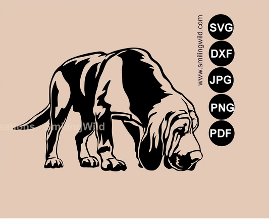 Sniffing Bloodhound SVG png and dxf main design featuring a professional scent tracking dog detailed digital handcrafted drawing