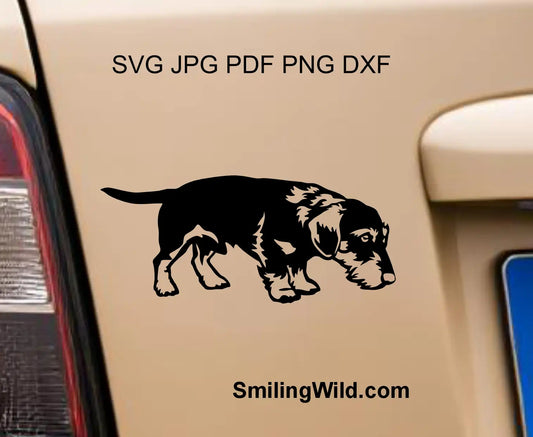 Sniffing Wirehaired Dachshund dog SVG and png cut file for vinyl stickers and wooden engraving.