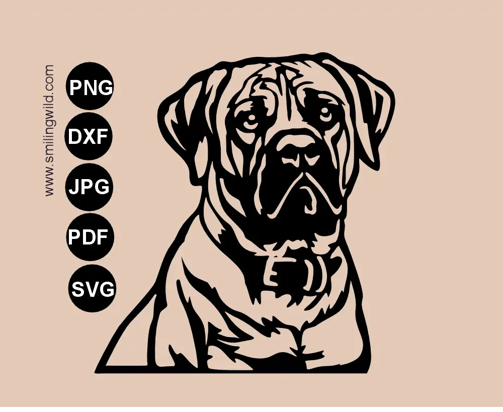 A frontal vecor graphic portrait of South african mastiff - boerboel SVG cutting file for laser, cnc and Cricut machines
