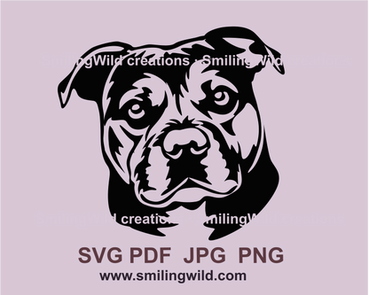 Staffordshire terrier portrait in black vector graphic