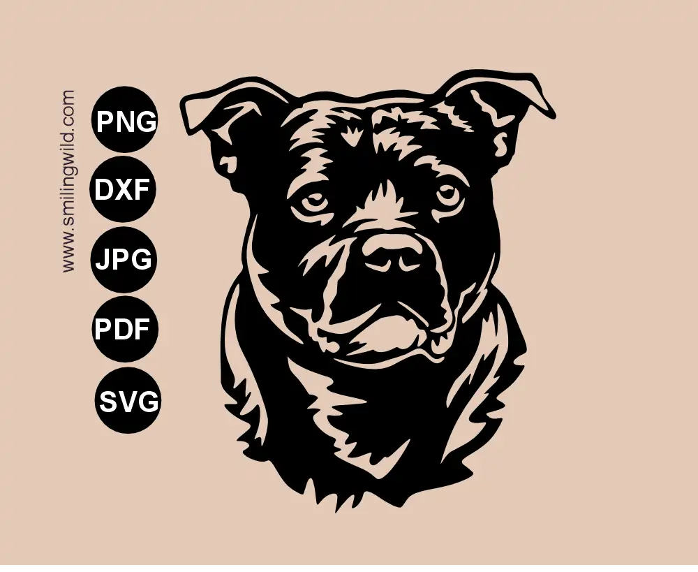 Staffordshire bull terrier svg and png vector clipart frontal face drawing made as a single piece vector cutting file