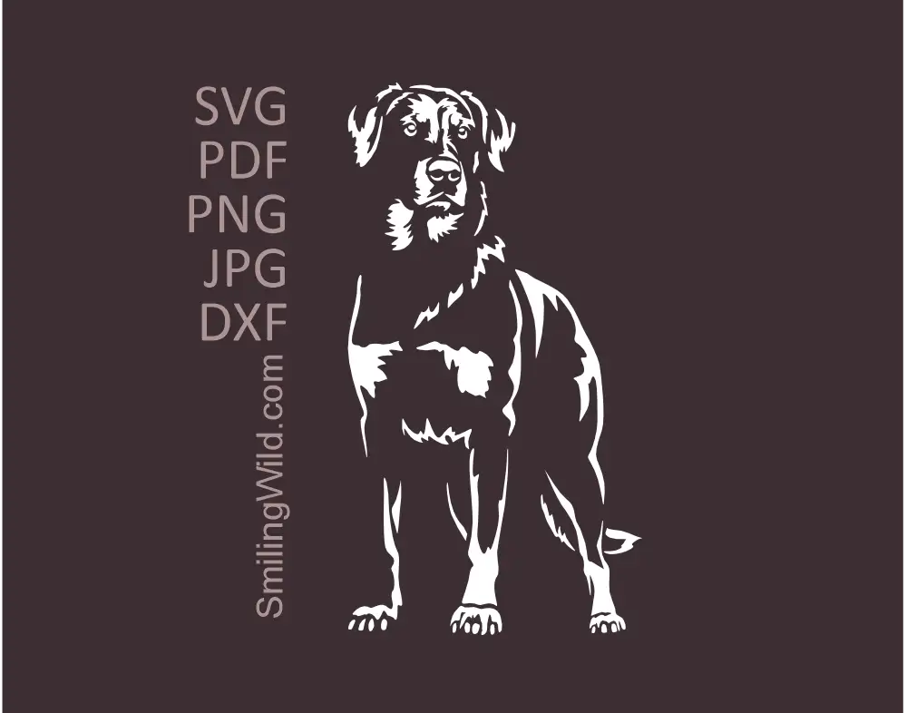 Frontal, standing dog white graphic drawing preview presenting a Beauceron SVG, DXF and PNG vector cut file rendered in detailed white graphic paths on a dark background.