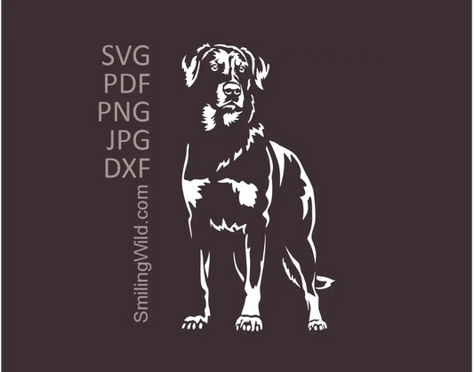 Frontal, standing dog white graphic drawing preview presenting a Beauceron SVG, DXF and PNG vector cut file rendered in detailed white graphic paths on a dark background.