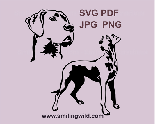 Great dane standign full body and a head svg cuttable portrait