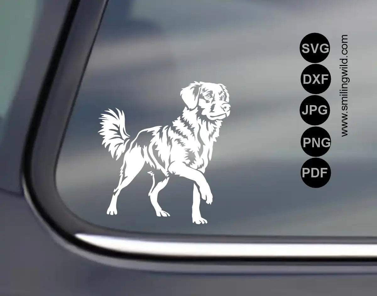 standing full body Nova Scotia Duck Tolling Retriever SVG PNG DXF white vector graphic design presented as a bright vinyl transfer on a black vehicle window mockup.