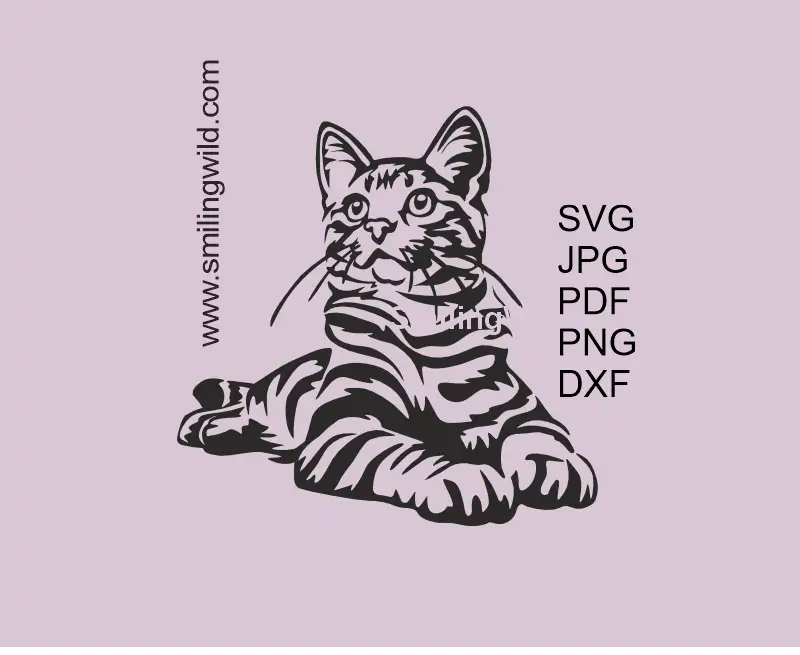 a lying Tabby cat SVG PNG DXF Vector graphic for cutting. Realistic cat clipart design optimized for Cricut and scalable projects.